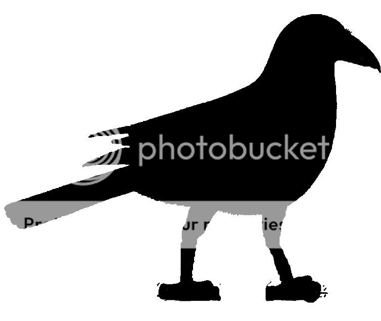 crow silhouettes PredatorMasters Forums